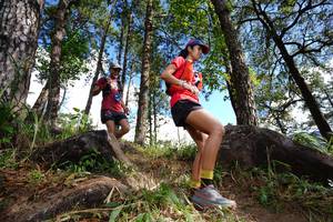 BIB: 
                            <button type="button" onclick="openModal(18888254)" class="btn btn-primary btn-sm float-right btn-popup" data-toggle="modal" data-target=".modal-high-quality">
                        <i class="fas fa-shopping-cart"></i> Add to Cart
                    </button>
                                            <button type="button" onclick="isThisMe(18888254, true)" class="btn btn-success btn-sm float-right btn-popup btn-isme hidden" data-toggle="tooltip" data-placement="bottom" title="นี่คือรูปของคุณใช่ไหม คลิกที่นี่เพื่อเอาเข้าอัลบั้ม">
                        <i class="fas fa-plus"></i> Add to album
                    </button>
                    <button type="button" onclick="isThisMe(18888254, false)" class="btn btn-warning btn-sm float-right btn-popup btn-isnotme hidden">
                        <i class="fas fa-ban"></i> Remove from album
                    </button>